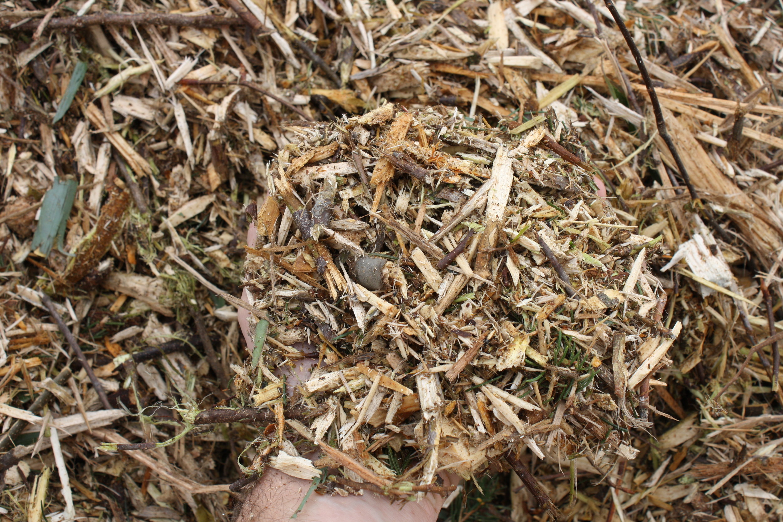 Everyone should be aware of these bark mulch insider tips.