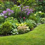 Professional landscaping in Victoria BC at your service